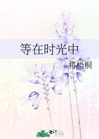 等在时光中封面