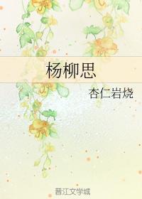 杨柳思封面