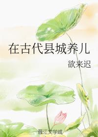 在古代县城养儿封面