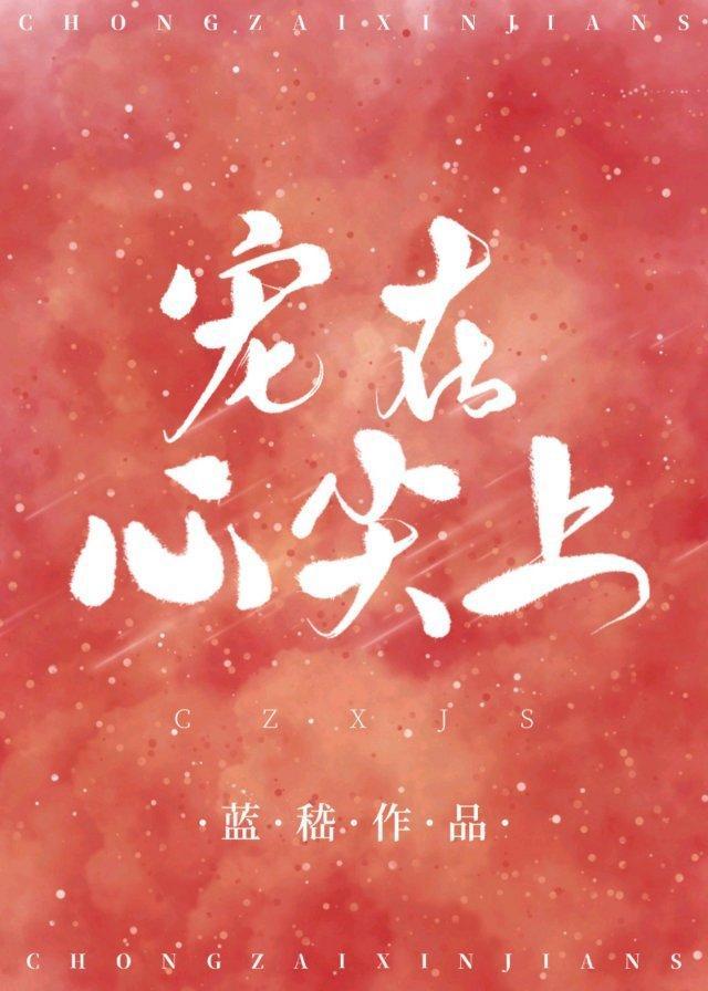 宠在心尖上封面