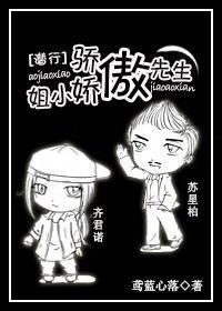 傲娇小姐与骄傲先生封面