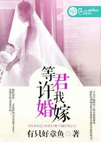 等君许我婚嫁封面