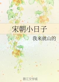 宋朝小日子封面