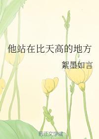 他站在比天高的地方封面