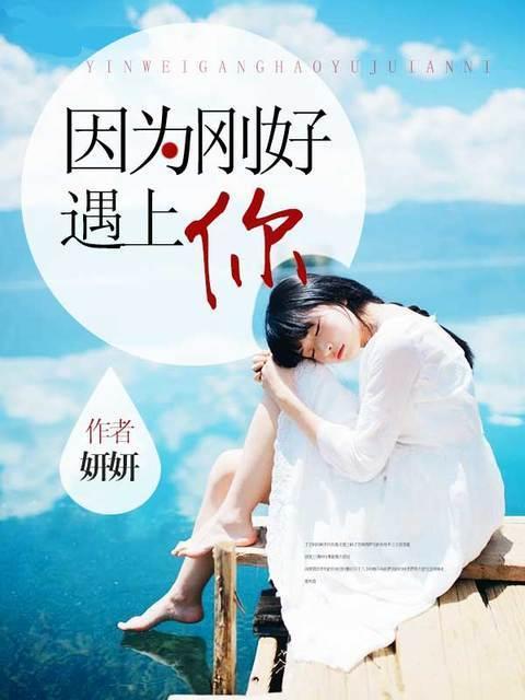 我知南风意封面