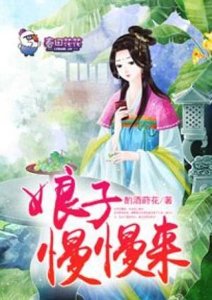 娘子慢慢来封面