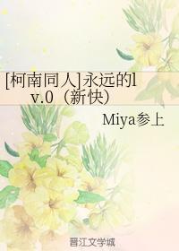 永远的lv.0封面