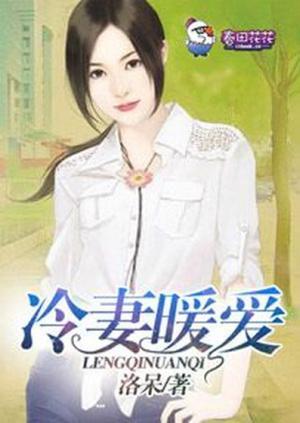 冷妻暖爱封面
