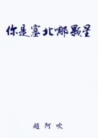 你是塞北哪颗星封面