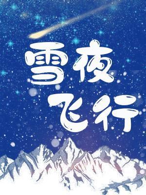雪夜飞行封面