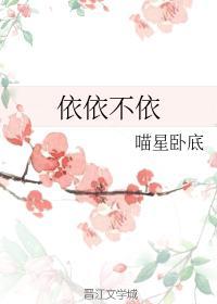 依依不依封面