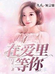 在爱里等你白晓顾北封面