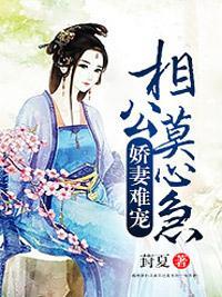 娇妻难宠：相公莫心急封面