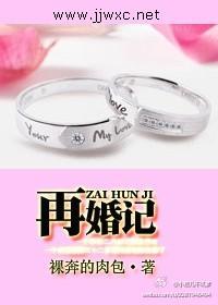 再婚记封面