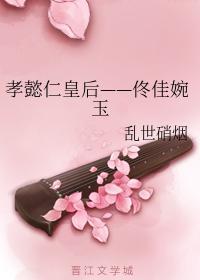 孝懿仁皇后——佟佳婉玉封面