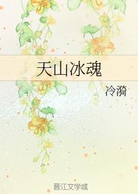 天山冰魂封面