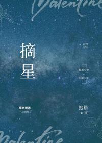 摘星封面