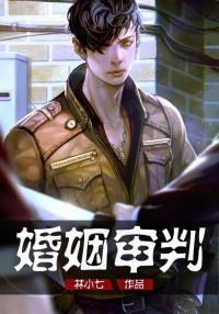 婚姻审判封面