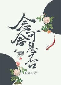 念念可息否（穿越）封面