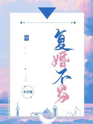 覆婚不易封面