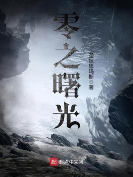 零之曙光封面