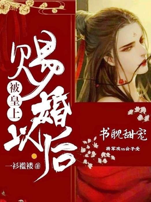 被皇上赐婚以后封面
