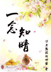 一念知晴封面