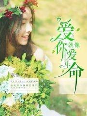覆制一首歌的时间封面