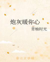 炮灰暖你心封面