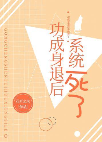 功成身退后系统死了封面