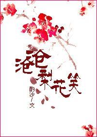 沧沧梨花笑封面
