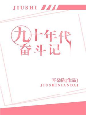 九十年代奋斗记封面