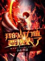 我的战力值要爆表了封面