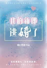 我的新郎逃婚了封面