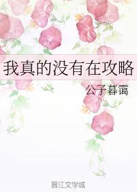 我真的没有在攻略封面