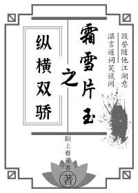 纵横双骄之霜雪片玉封面