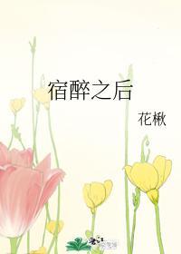 宿醉之后封面