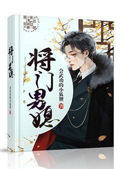 将门男媳封面