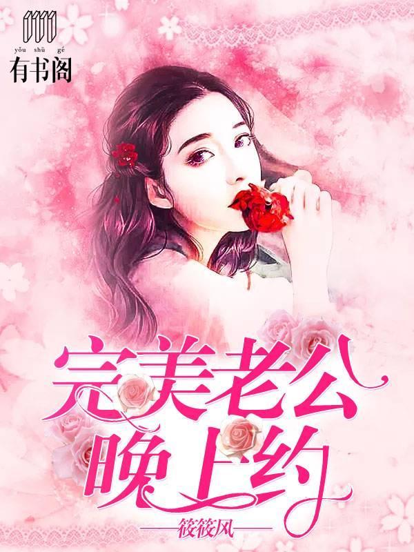 完美老公晚上约封面