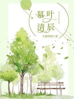 慕叶清辰封面