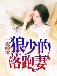 一夜缠绵：狼少的落跑妻封面