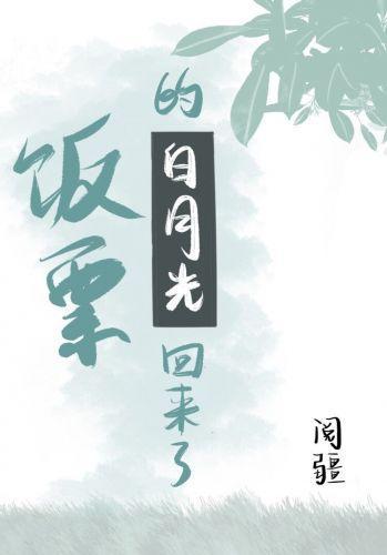 饭票的白月光回来了封面