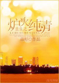 重生之炉火纯青[娱乐圈]封面
