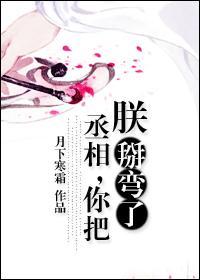 丞相，你把朕掰弯了封面