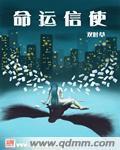 命运信使封面