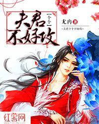 夫君个个不好攻封面