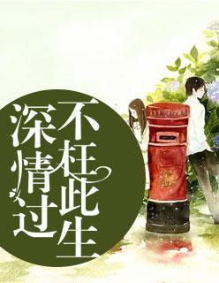 深情过，不枉此生封面