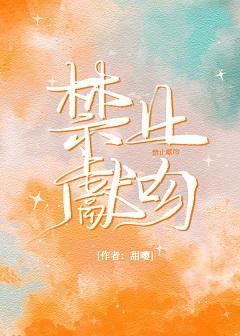 禁止献吻封面