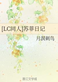[LC同人]苏菲日记封面