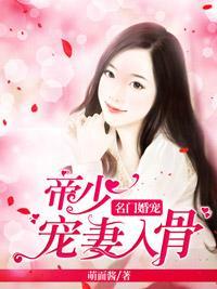 名门婚宠：帝少宠妻入骨封面